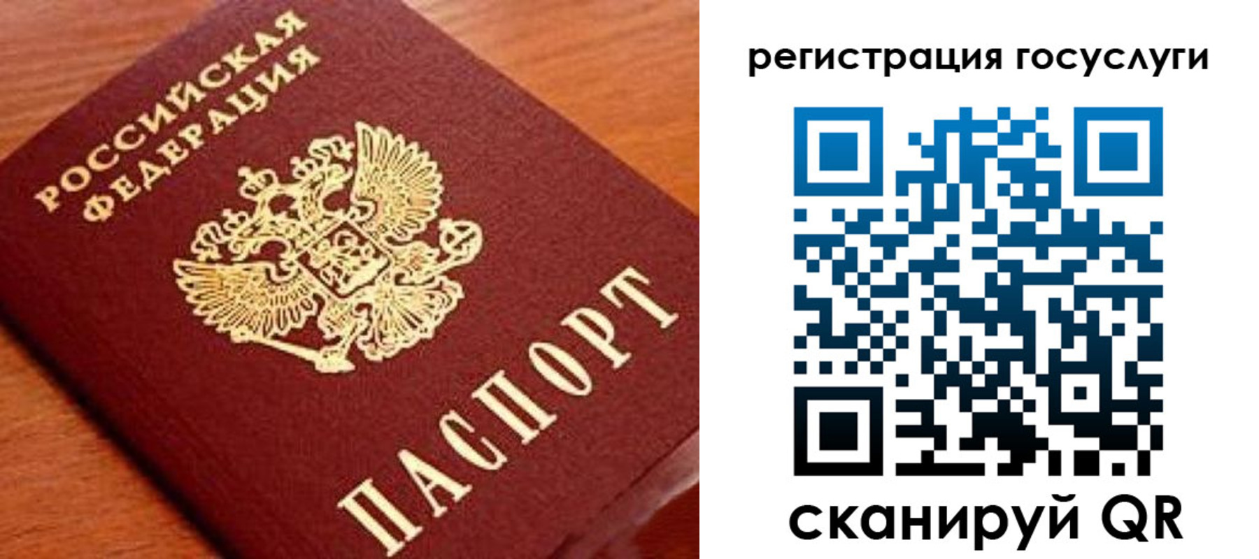 прописка иностранных граждан в Тайге